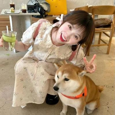 海象海象不要哭